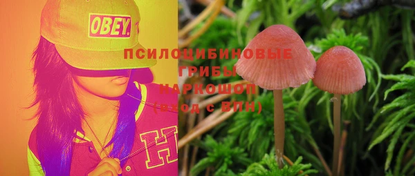 скорость Арсеньев