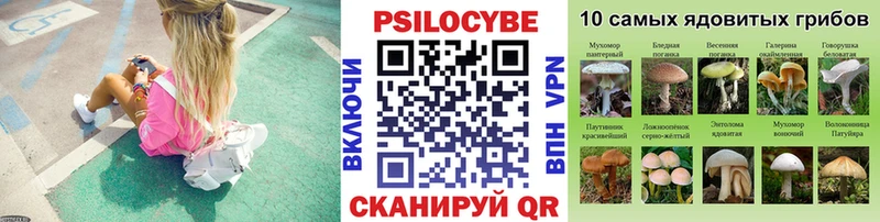 Псилоцибиновые грибы MAGIC MUSHROOMS  mega ссылки  Свободный 